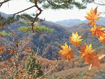 石河子电商培训学习,石河子电商平台